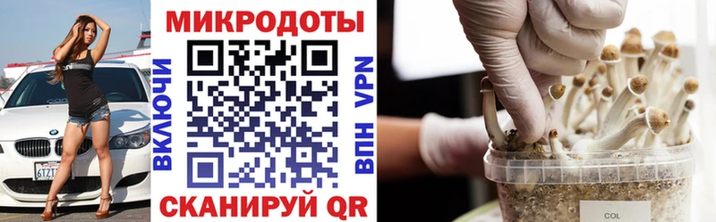 гидра сайт  Сортавала  Галлюциногенные грибы Cubensis 